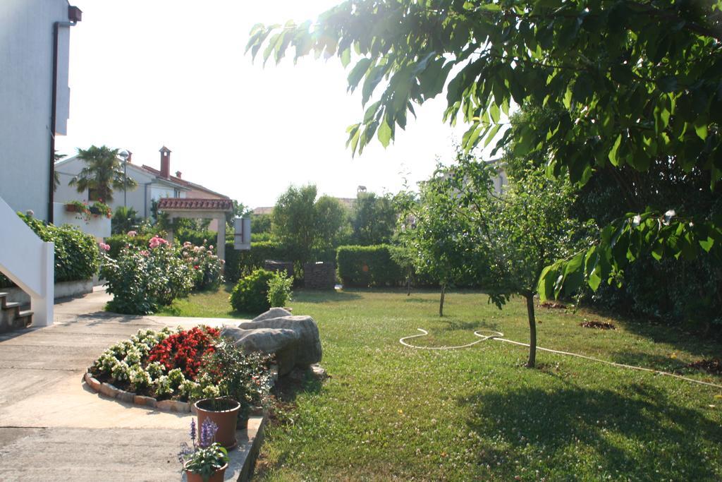 Apartma Falcon